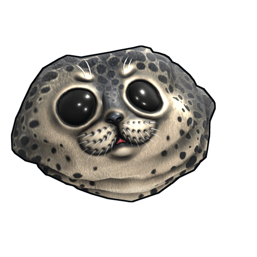 harbor seal rock rust