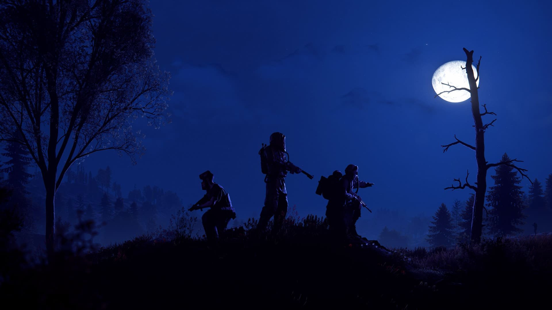 best settings for rust